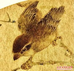 国产百鸟在线视频观看,在线观看百鸟在线的精彩瞬间