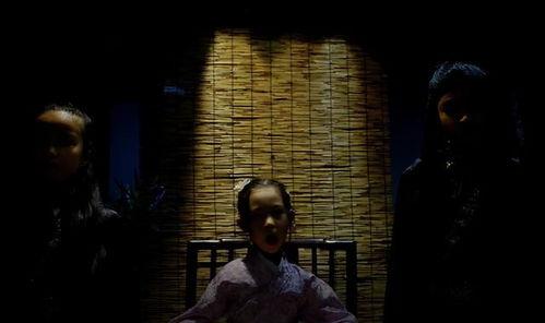 国产八集悬疑剧大全视频,揭秘惊悚谜案，探寻真相之旅