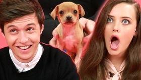 国产小甜剧校园吻戏视频