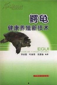 国产大鳄养殖视频教程下载,从入门到精通的养殖攻略