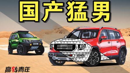 国产H网视频,探索中国网络文化的魅力与创新