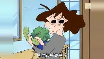 经典国产动画造型视频在线观看,重温经典，感受时光魅力