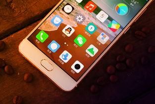 国产手机自拍小视频,捕捉生活瞬间，展现个性风采