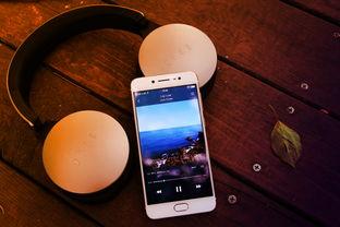 国产手机自拍小视频,捕捉生活瞬间，展现个性风采