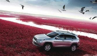 福建国产车视频大全,视频大全中的民族汽车力量